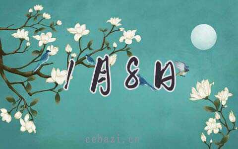 2026年1月8日提车好吗