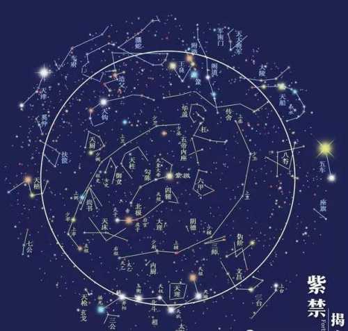 哪些紫薇命盘的人具有领袖魅力