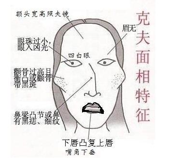 女人极贵的面相和体相长这样
