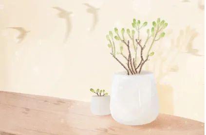 “八字命理 什么样的八字命硬