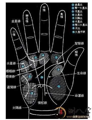 麻衣相法讲解易经手相中的手掌纹由纹线可以看一生的财气吗