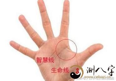 “暴发户”的掌纹 - 命有偏财一笔 - 早中晚可望不可及