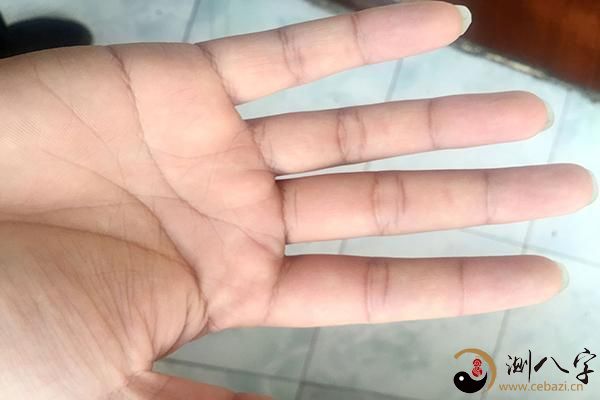 “身体好不好 - 掌纹会告诉你 - 每条