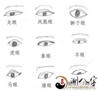 看面相学与命运面相,看相,面相,看相面相