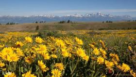 “论婚姻生活:以八字命局剖析