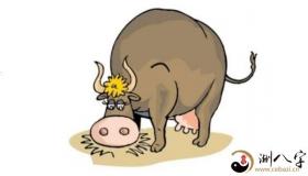 “1985年的人今年财气运程