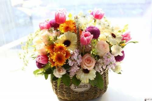 梦见鲜花花篮