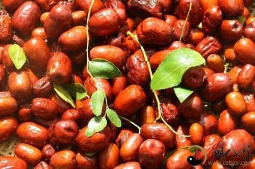 梦到自己枣大丰收