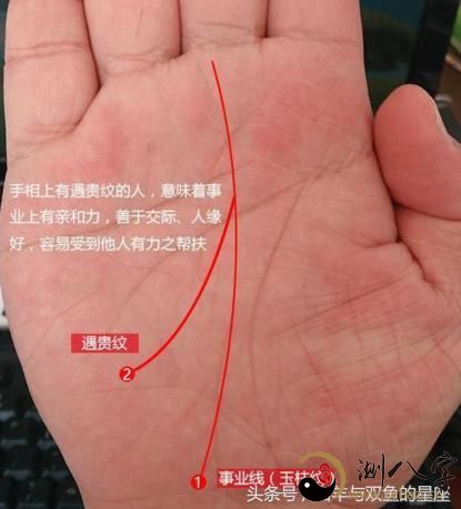 有这种手相特征的人,乃人中龙凤,一看就是当官的料,有钱的命