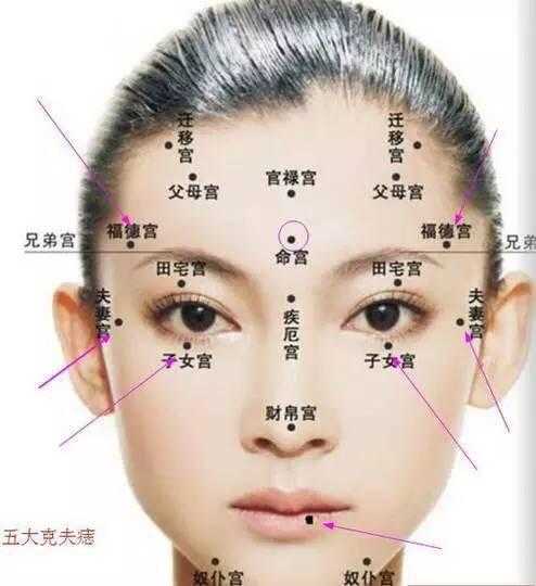 面相术重点知识汇总二十四灵验率高
