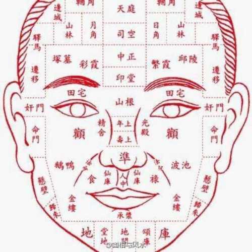 中华传统相学关键包含面相术,,手相术和体相学等层面的內容.
