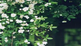 “天蝎座为何非常容易被别人误会 - 