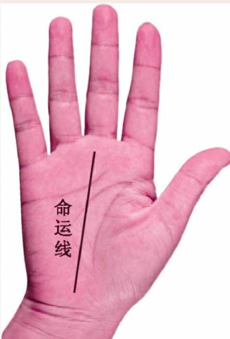 通过手掌心看人体手掌纹的区划
