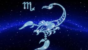 “属相虎的最好生肖爱人及相匹配星座