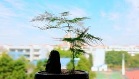 射手座的谈恋爱小窍门 - 怪不得那麼惹人喜爱