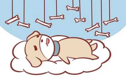 “属相狗本运年是哪一年 - 属狗本运