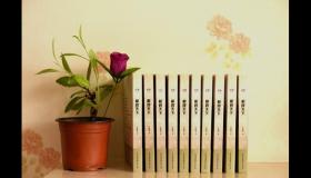 “10指在手相中各自代表哪些 - 看该