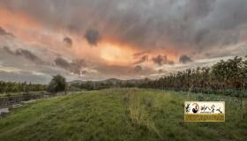 “86年属相虎的人2022年运势