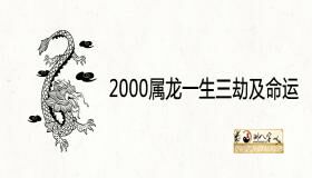 “2000属龙一生三劫及运势分析