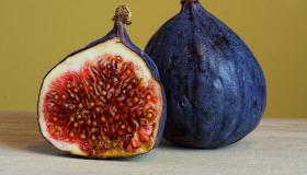 “无花果树的风水寓意好吗？
