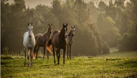 “正月初二出生的人姻缘2023年