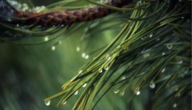 “2023兔年腊月出生的人命运