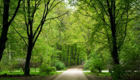 “大年初一出生的人阳气重吗2023年