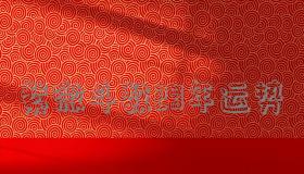 “紫微斗数23年运势