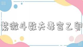 “紫微斗数夫妻宫乙卯