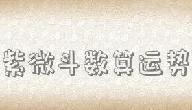 “紫微斗数算运势