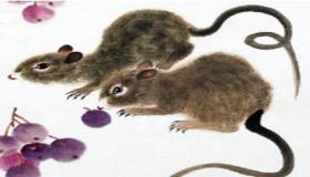 “父母属鼠孩子属马