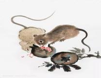 “1972年属鼠的人在2023年的运势