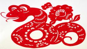 “属蛇的人一生大运年