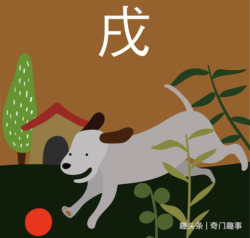 属马的和属鼠的人相配吗