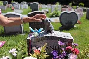 梦见舅爷爷去世了