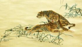 “什么东西最旺属虎人