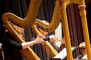 梦见竖琴弦断了