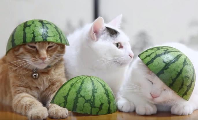 梦见自己帽子掉了