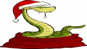 “属蛇的人生虎宝宝好不好