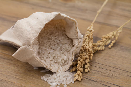 梦见大米生虫子