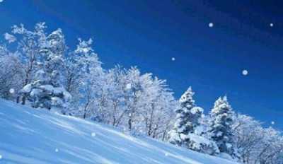 梦见天空飘雪花