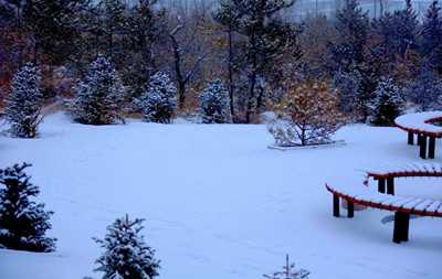 梦见天空飘雪花
