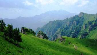 梦见一座很高的山