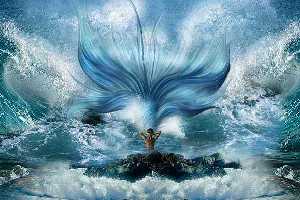 梦见美人鱼和我说话