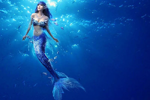 梦见美人鱼和我说话