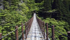 “梦见过吊桥过去