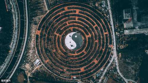 五行缺土发展哪个方向