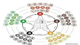 “语的意思和五行属什么意思是什么意