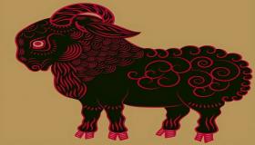 “五行火跟五行属啥的配-五行属火要