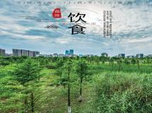 “05在五行中属什么-数字5在五行的属